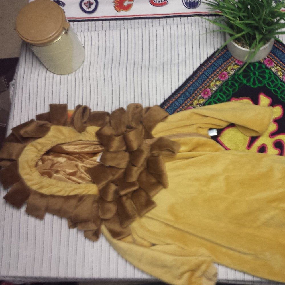 Lions costume